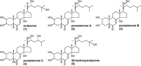 ECDYSTEROIDS .